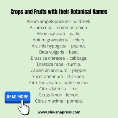 List Of Important Scientific Names Of Plants, Fruits & Vegetables ...