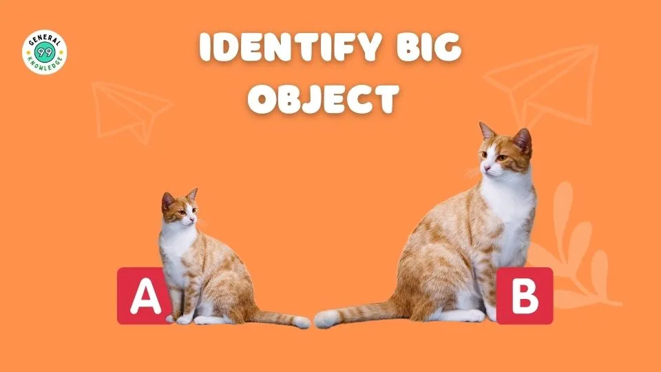 Identify big and small objects