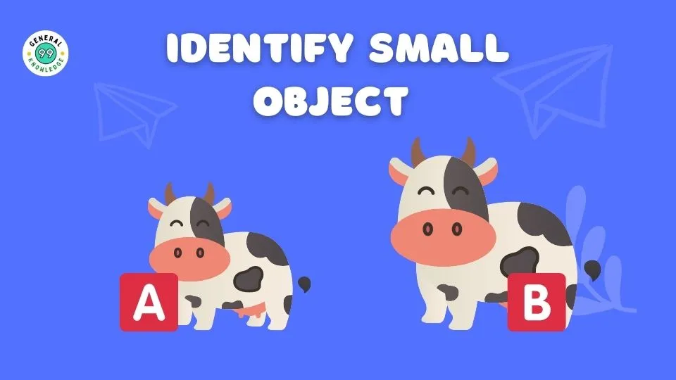Identify big and small objects
