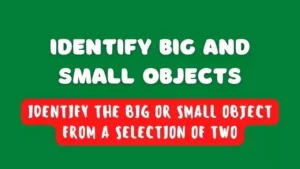IDENTIFY BIG AND SMALL OBJECTS