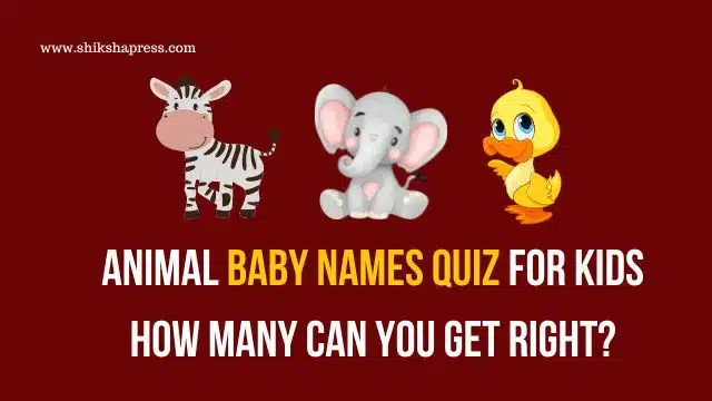Animal Baby Names Quiz