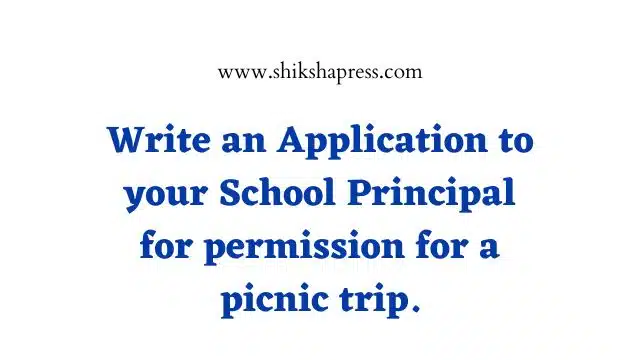 Application for permission for a picnic trip