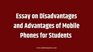Essay on Disadvantages and Advantages of Mobile Phones  