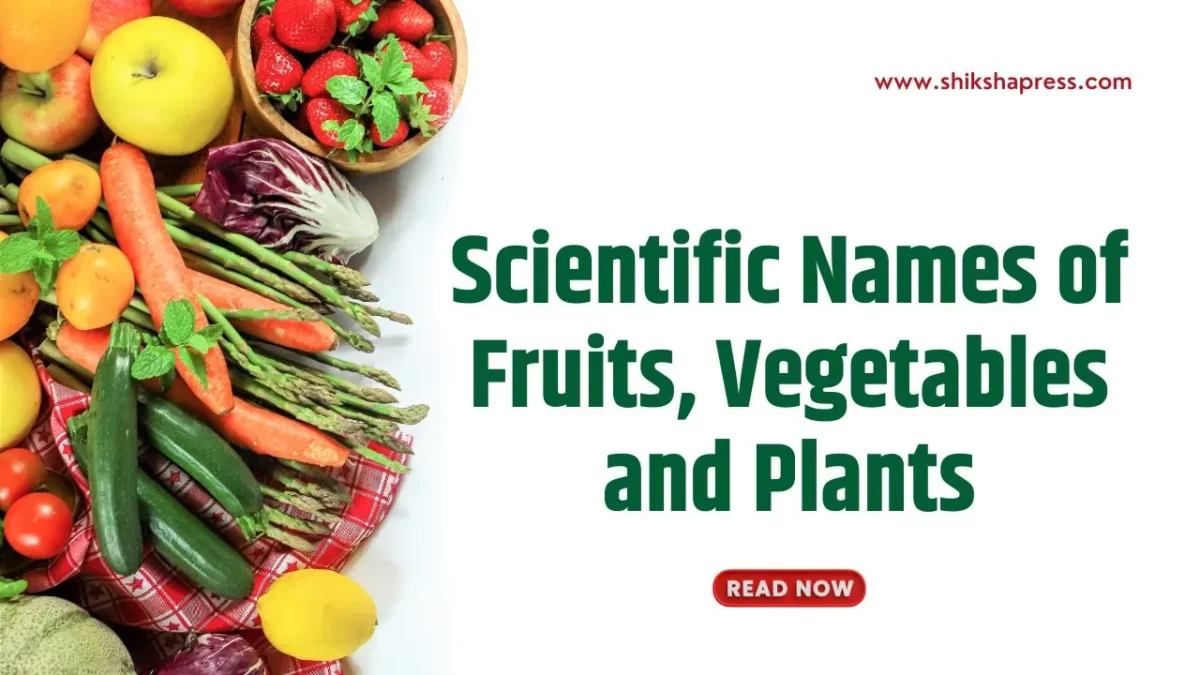 Scientific Names Fruit Veg Plants
