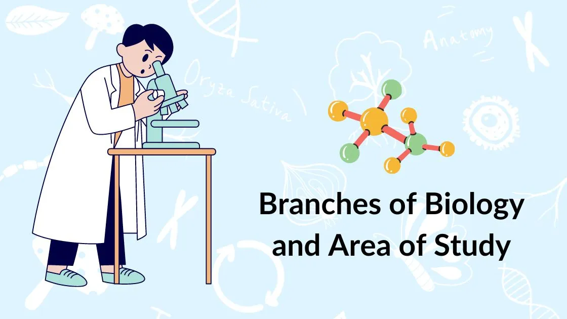Branches of Biology and Area of Study